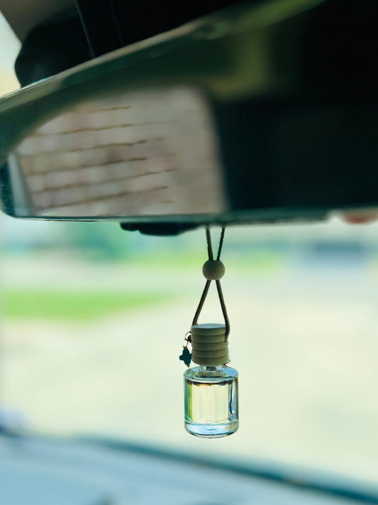 Premium Hanging Oil Diffuser